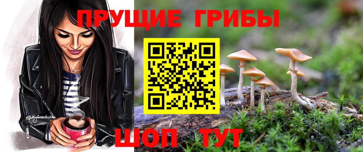 Белебей  Псилоцибиновые грибы мицелий  Вход с VPN 